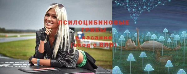 твердый Белокуриха