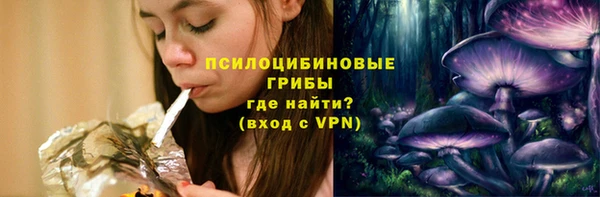 индика Богородицк