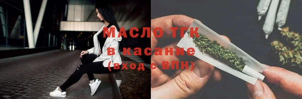индика Богородицк