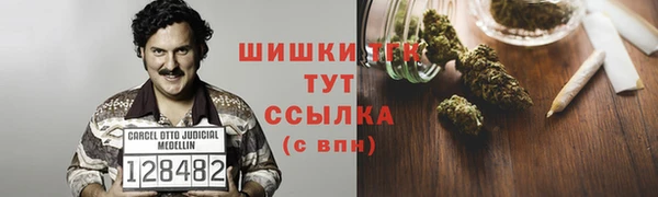 мдпв Бородино