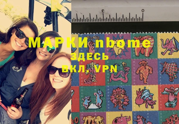 мдпв Бородино