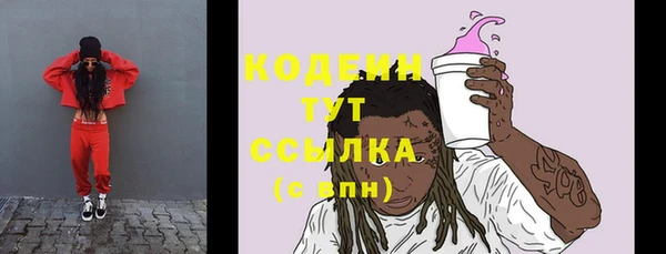 меф Снежинск