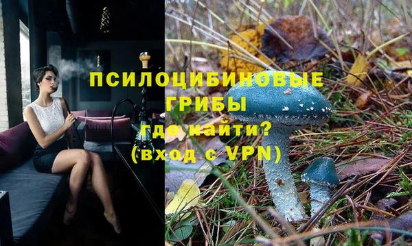 твердый Белокуриха