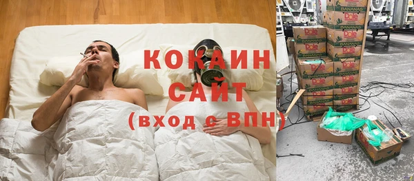 мдпв Бородино