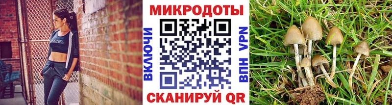 Псилоцибиновые грибы Cubensis  Кушва 